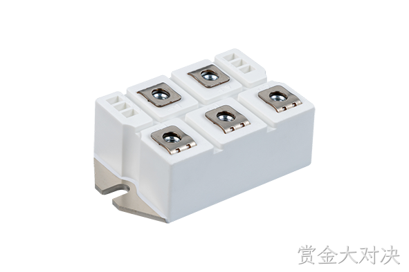 赏金大对决 Rectifier Bridge Module