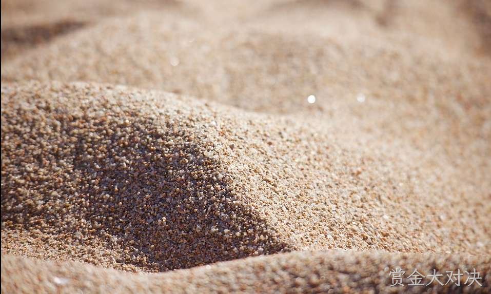 beach-7153932_960_720.jpg