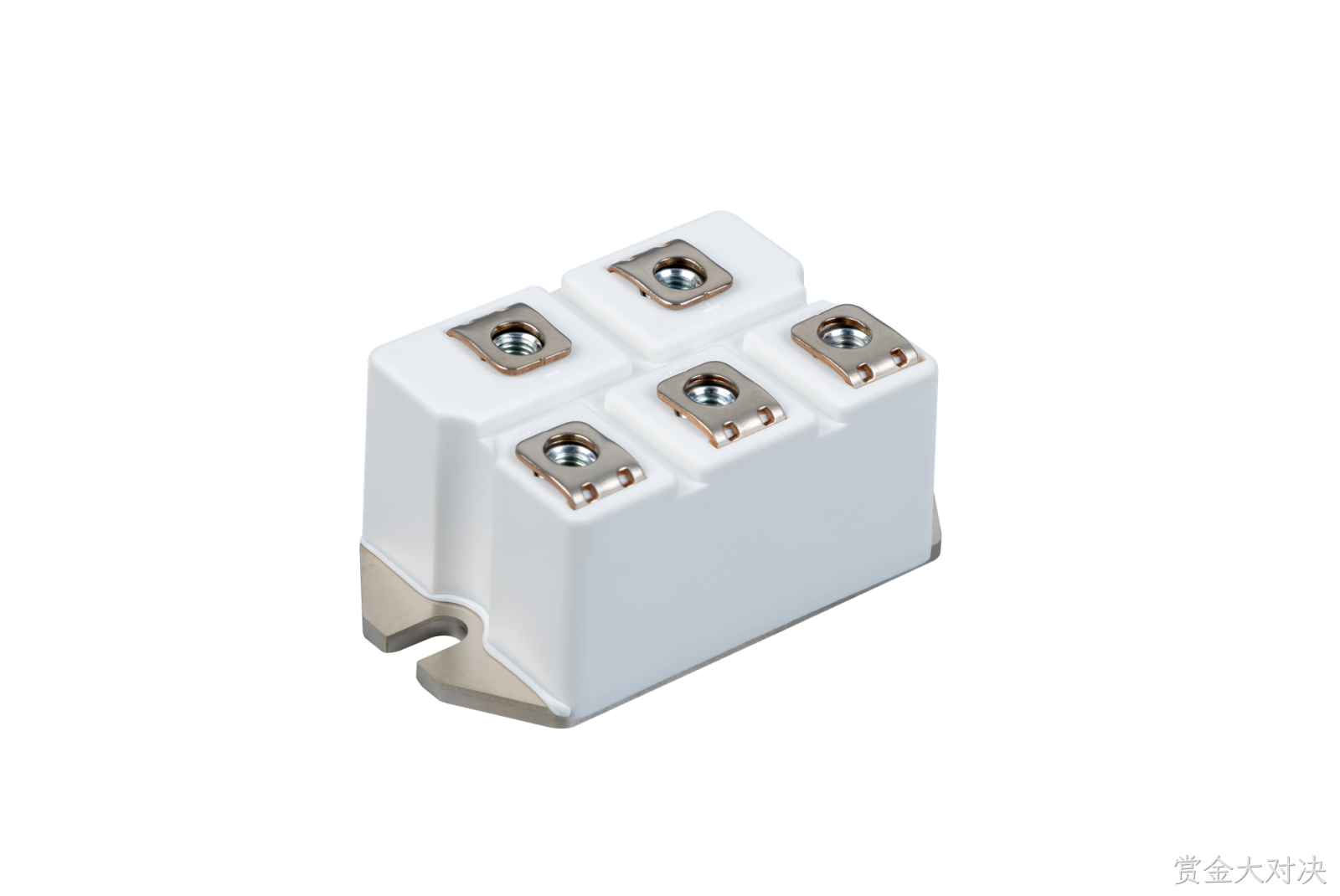 赏金大对决 Rectifier Bridge Module
