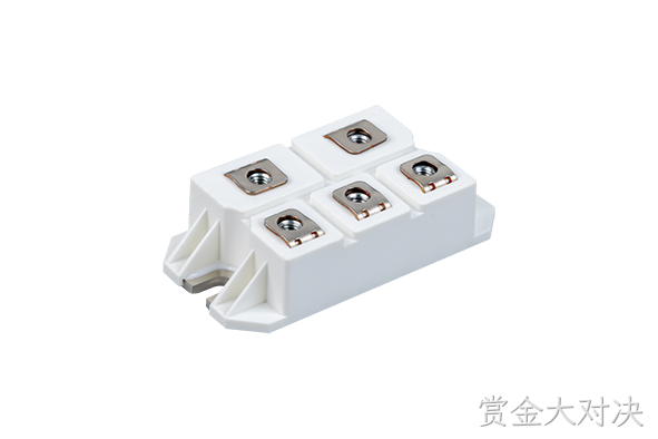 赏金大对决 Rectifier Bridge Module
