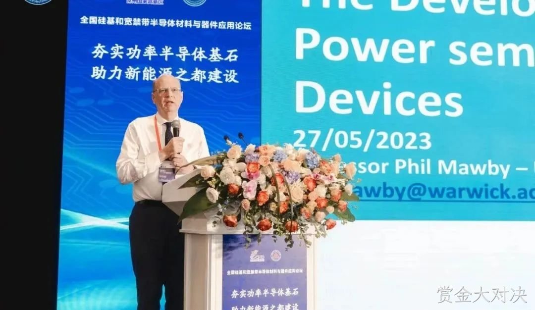 英国华威大学 工程学院电力电子系主任 菲利普教授